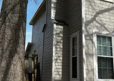Professional House Painter